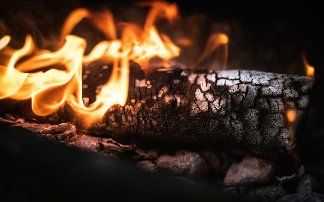 Dinas Damkar Malinau Hapus Sarang Tawon di Sekolah