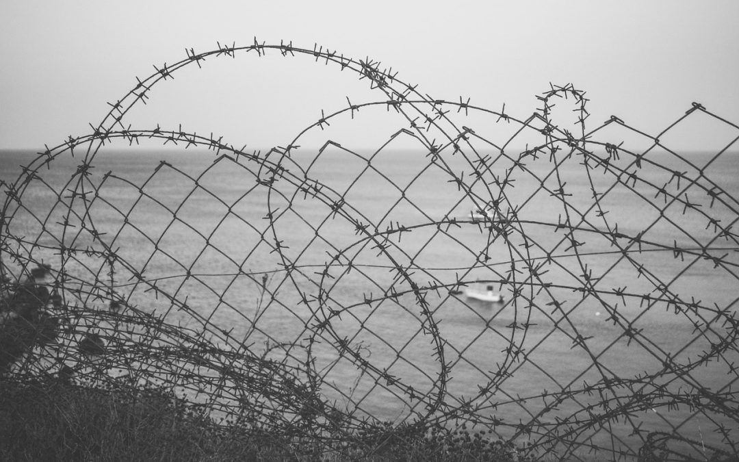 Dinas Damkar Malinau Hapus Sarang Tawon di Hutan Kota